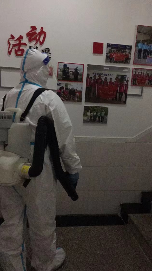 澳门花王堂区白蚁防治 澳门花王堂区白蚁预