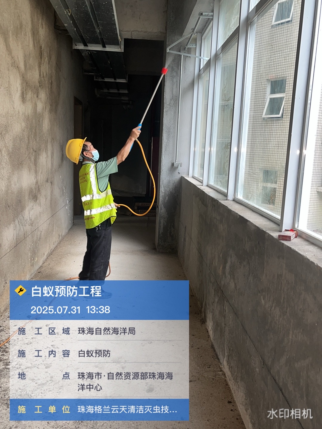 澳门又到初夏多雨水季,澳门白蚁纷飞难题如