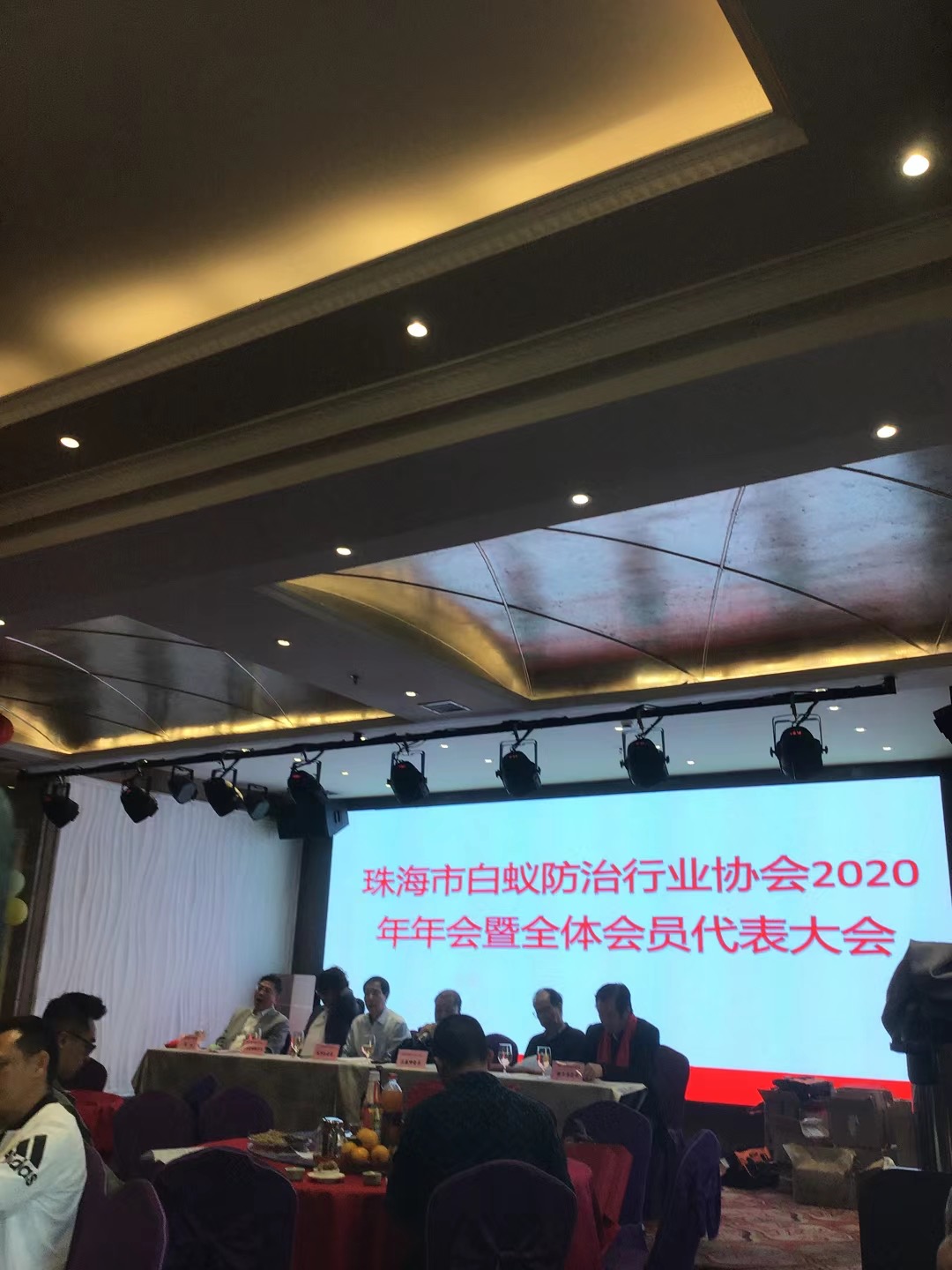 澳门白蚁防治协会
