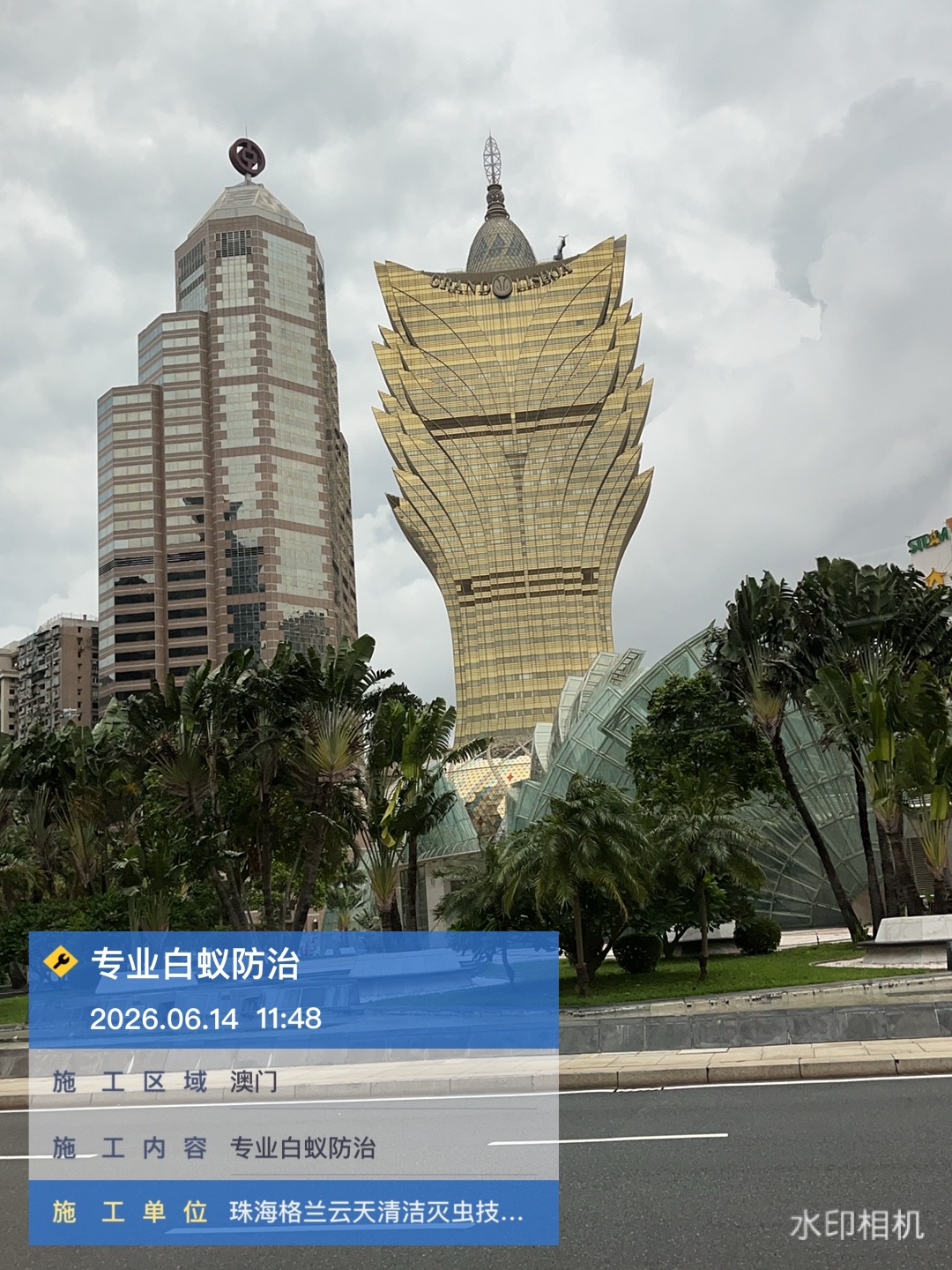 澳门大堂区白蚁防治 澳门大堂区白蚁预防 